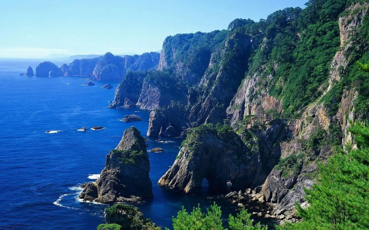 自动化自动化